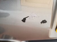 Z4M Bumper paint.jpg