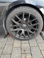 IMG_7972.jpeg