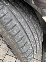 IMG_7973.jpeg