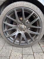 IMG_7974.jpeg