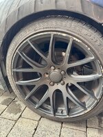 IMG_7975.jpeg
