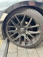 IMG_7976.jpeg