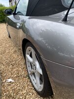 IMG_3752.jpeg IMG_3752.jpeg