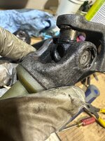 IMG_2443.jpeg