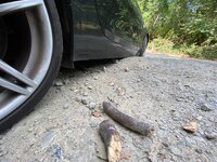 IMG_3141.jpeg
