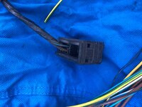 IMG_5986.jpeg