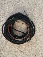 IMG_4286.jpeg