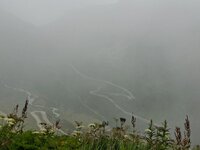 20250715_145156.jpg