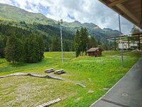 20250716_141141.jpg