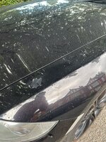 IMG_4921.jpeg