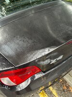 IMG_4922.jpeg