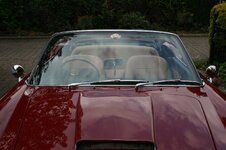 IMG_9930.JPG IMG_9930.JPG