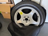 IMG_6878.jpeg