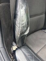 IMG_9595.jpeg