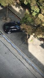 IMG_3447.jpeg