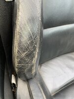 IMG_2299.jpeg