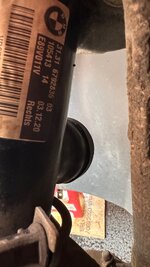 IMG_5521.jpeg