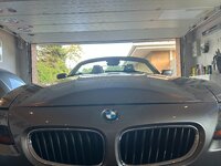 IMG_4426.jpeg