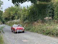 IMG_7381.jpeg