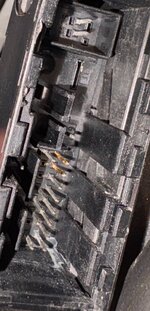 IMG_1177.jpeg