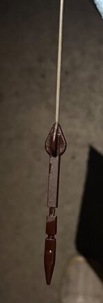 IMG_5005.jpeg