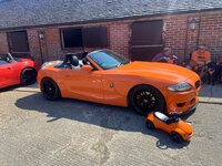 IMG_8553.jpeg IMG_8553.jpeg