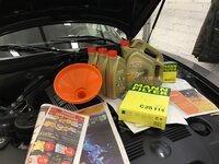 IMG_0237.jpeg IMG_0237.jpeg