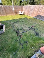 IMG_8850.jpeg IMG_8850.jpeg