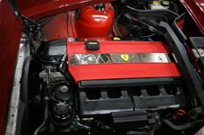 IMG_9954.JPG