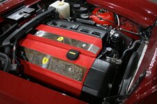 IMG_9950.JPG