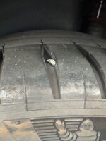 IMG_5145.jpeg