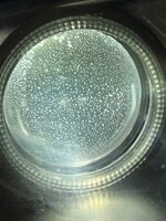 IMG_1032.jpeg