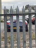 IMG_7686.jpeg