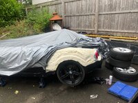 IMG_0404.jpeg