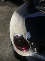 IMG_0411.jpeg