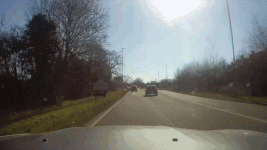 wally.gif