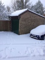 Z4 in the snow.jpg