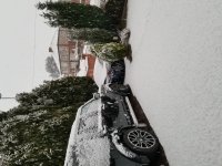 20180308_065952.jpg