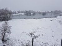 20180308_081207.jpg 20180308_081207.jpg