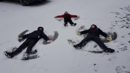 20180227_083011.jpg 20180227_083011.jpg