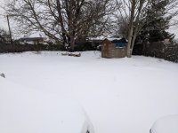 IMG_20180302_100632.jpg IMG_20180302_100632.jpg