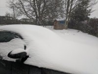 IMG_20180301_172735.jpg IMG_20180301_172735.jpg