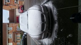 DSC_1178.JPG