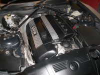 DSCN0749.JPG