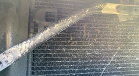 IMG_2542.jpeg