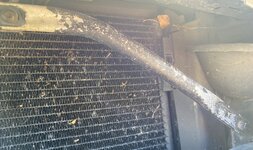 IMG_2543.jpeg