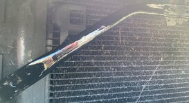 IMG_2544.jpeg