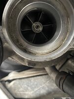 IMG_3505.jpeg