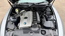 IMG_0252.jpeg
