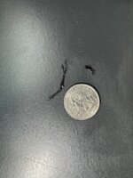 IMG_7460.jpeg IMG_7460.jpeg